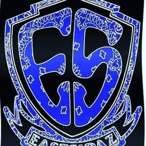 Meet your Posher, Leonis